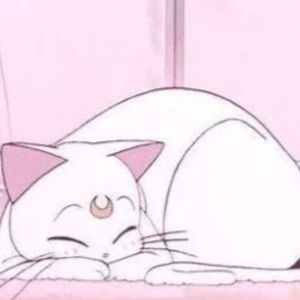 Meet your Posher, Bria